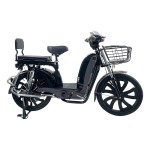 22寸百灵王 前后护杠 后折叠货架 载重款动力型家用电动自行车400W/800W电机